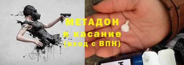 индика Алексин