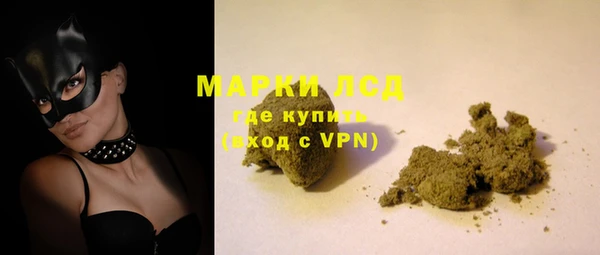 индика Алексин