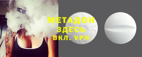 индика Алексин