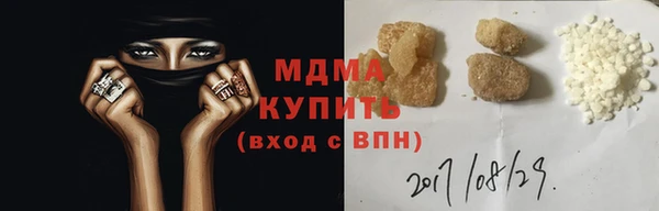 индика Алексин