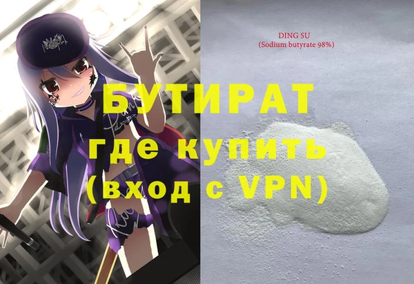 индика Алексин