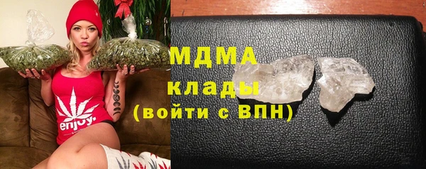 индика Алексин