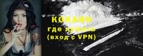 индика Алексин