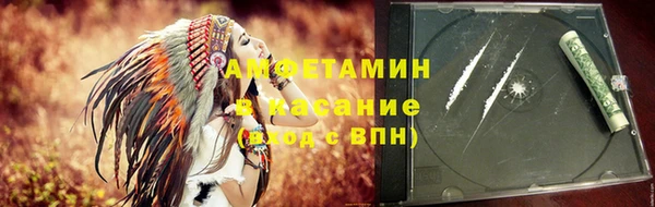 индика Алексин