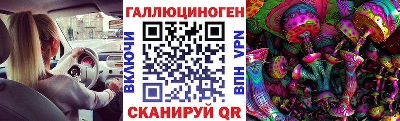 где купить наркотик  Ардон  Псилоцибиновые грибы мицелий 